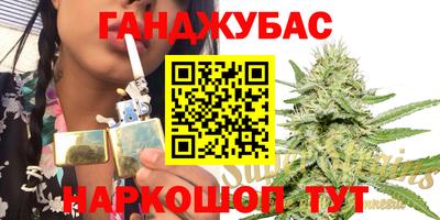 гидра Ростов-на-Дону